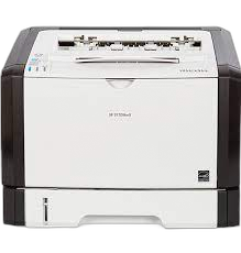 SP377DNWX