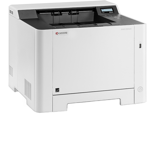 Ecosys - PA2100CWX
