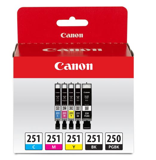 Canon 6497B013 PGI-250 / CLI-251 OEM Ink Set, B/C/M/Y/PGBK